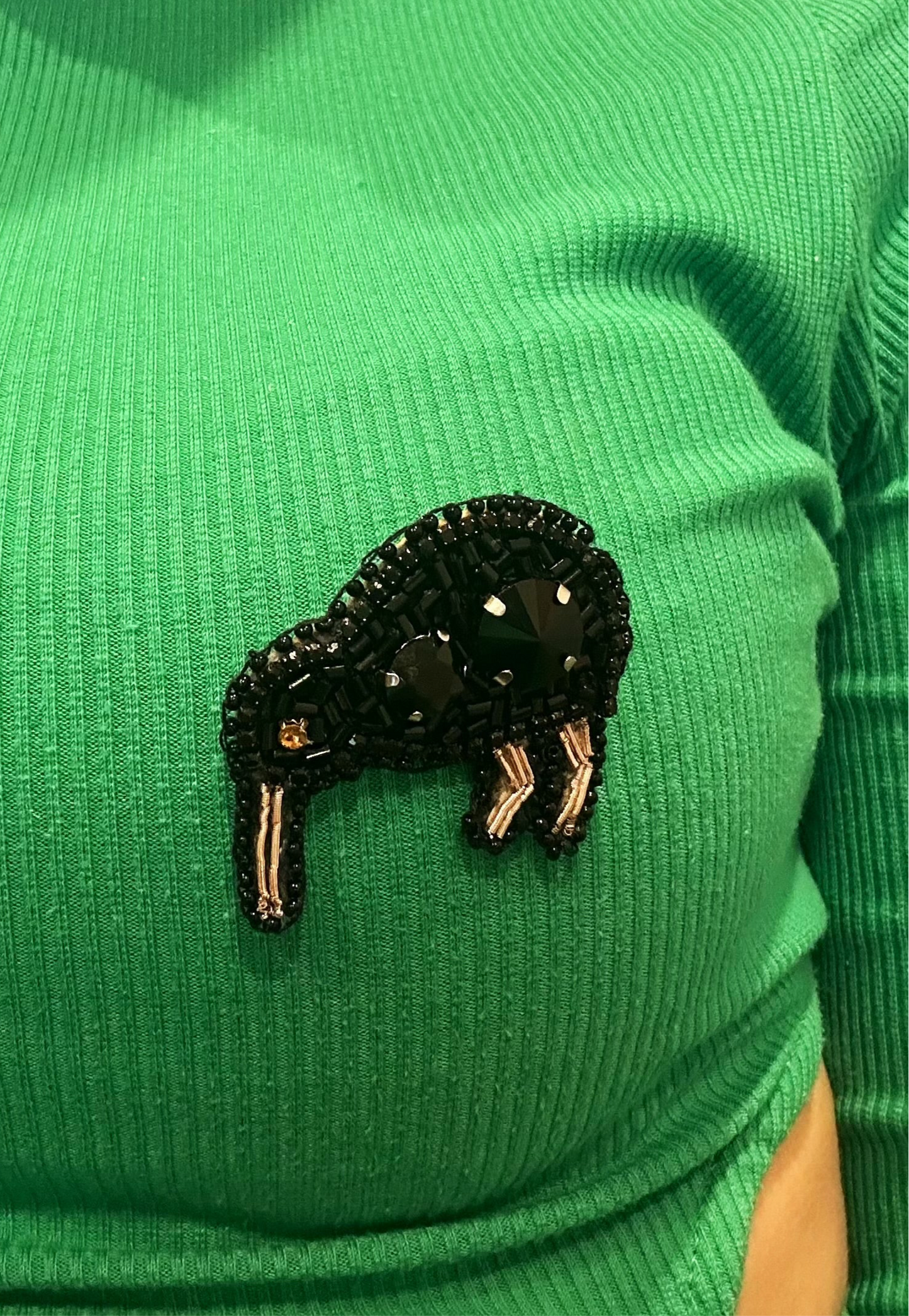 Midnight Kiwi
